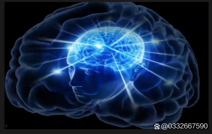 某知名女星被曝与经纪公司解约,背后内幕令人唏嘘